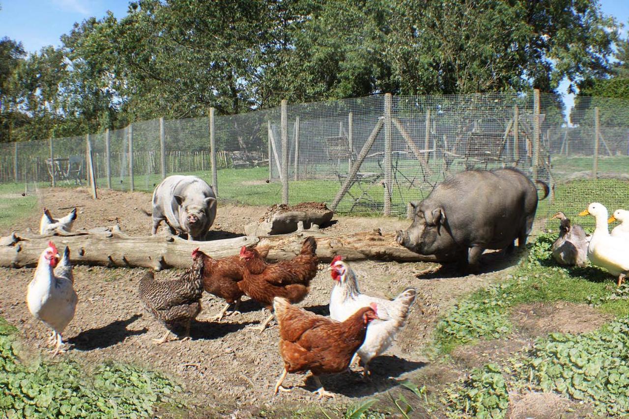 Bed and Breakfast Comme A La Ferme Durbuy Exteriér fotografie