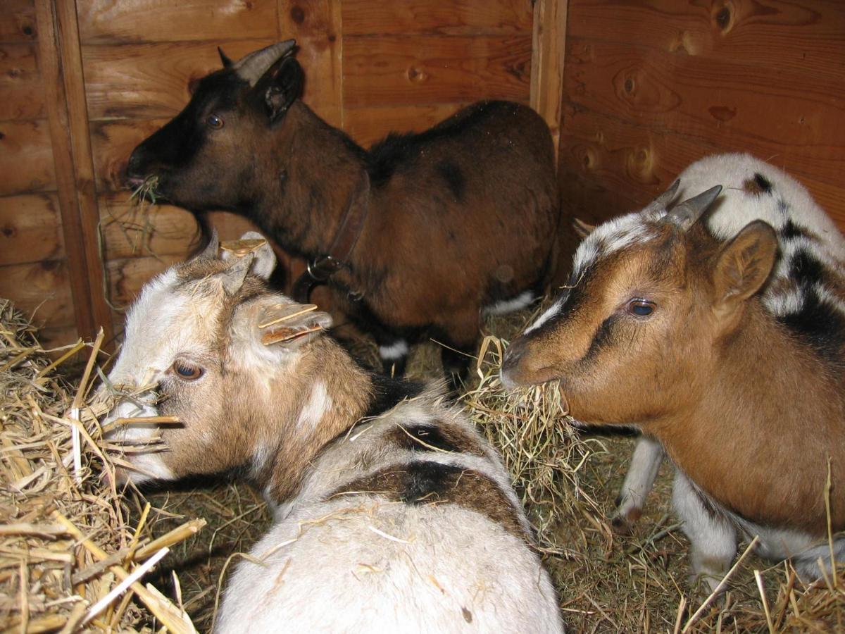 Bed and Breakfast Comme A La Ferme Durbuy Exteriér fotografie